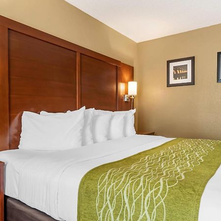 Comfort Inn Msp Airport - Mall Of America Bloomington Dış mekan fotoğraf
