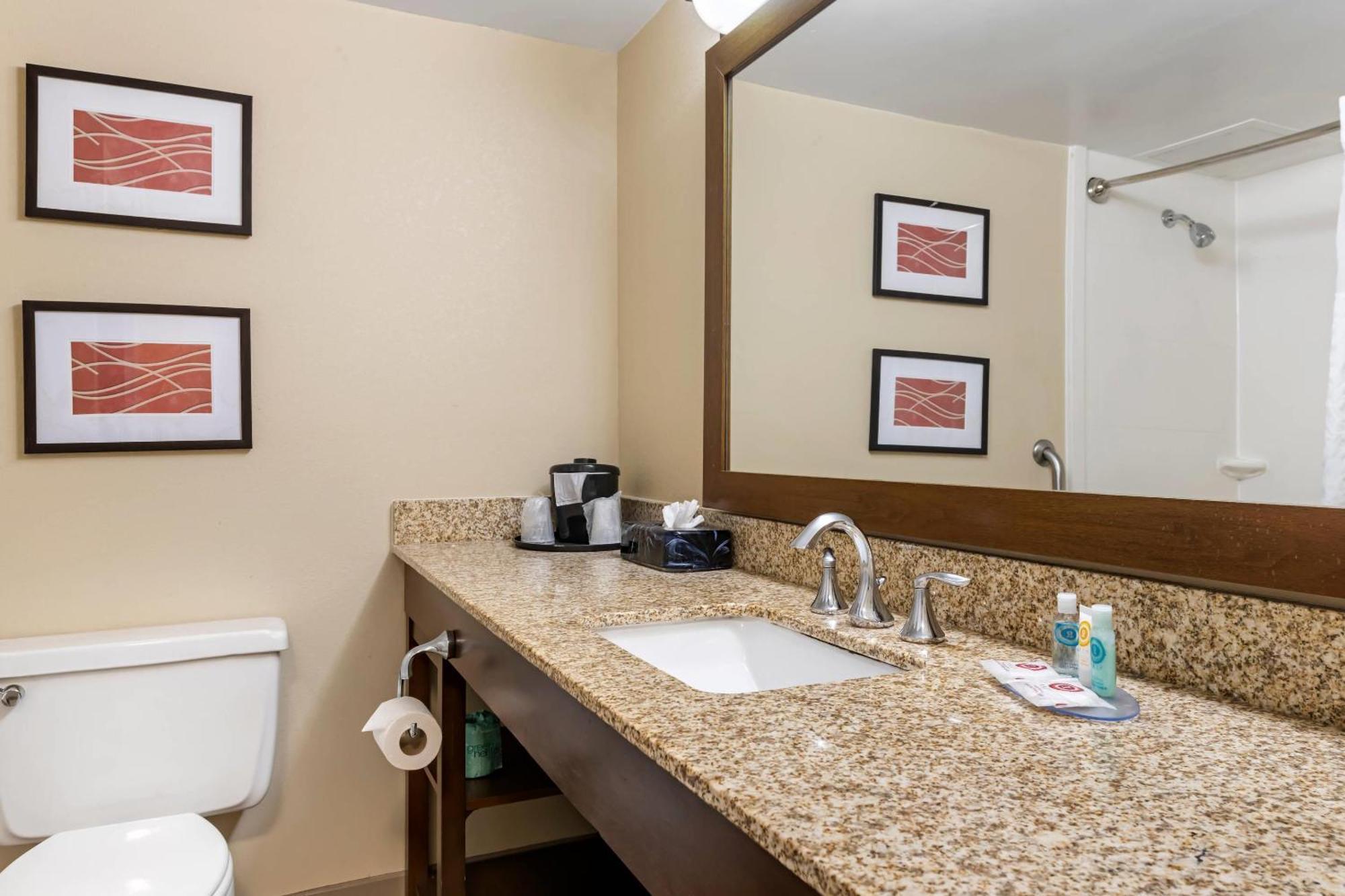 Comfort Inn Msp Airport - Mall Of America Bloomington Dış mekan fotoğraf
