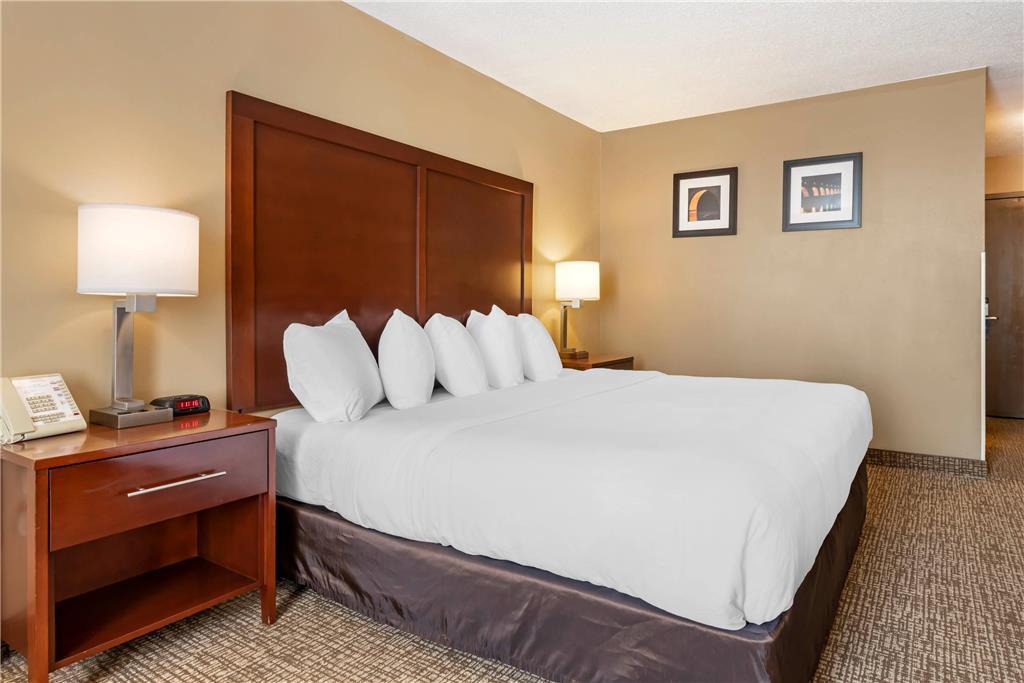 Comfort Inn Msp Airport - Mall Of America Bloomington Oda fotoğraf