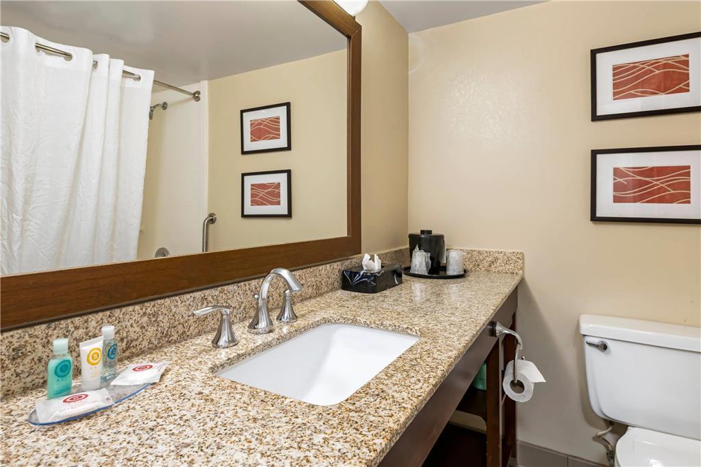 Comfort Inn Msp Airport - Mall Of America Bloomington Oda fotoğraf